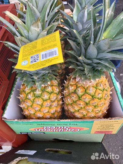 Ананас 6 шт (Гаваи,Маврикий) Коробка