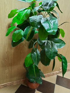 Фикус каучуконосный искусственный