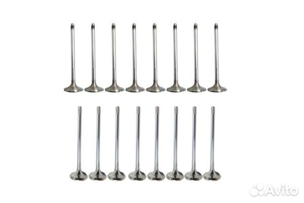 Borsehung B10322 Клапан впускной и выпускной компл