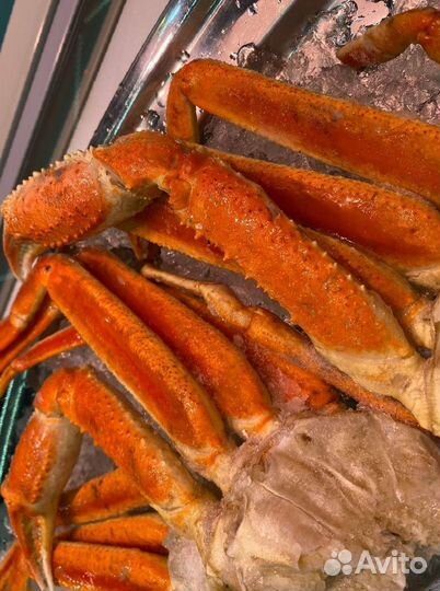 Клешни краба стригуна. Опт
