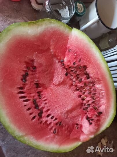 Арбузы