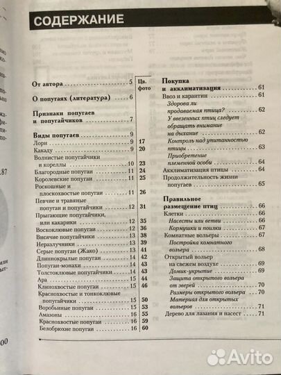 Попугаи и Попугайчики