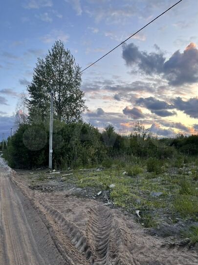 Участок 12,5 сот. (ИЖС)