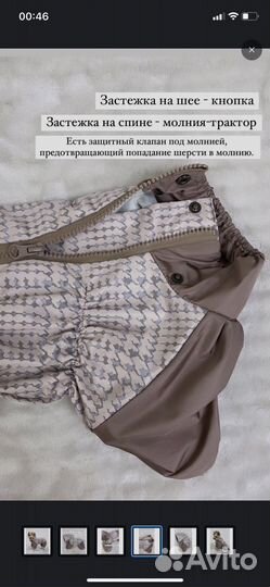 Дождевик для средней собаки