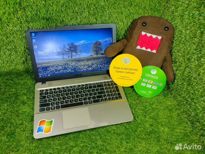 Asus для интернета, офиса, учёбы и развлечений