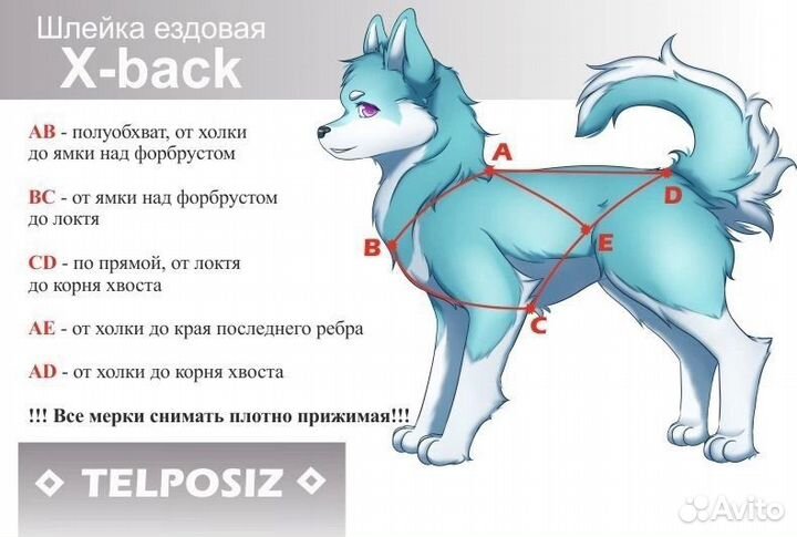 Ошейник для собак, шлейка, поводок