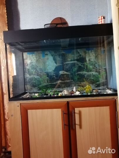 Аквариум