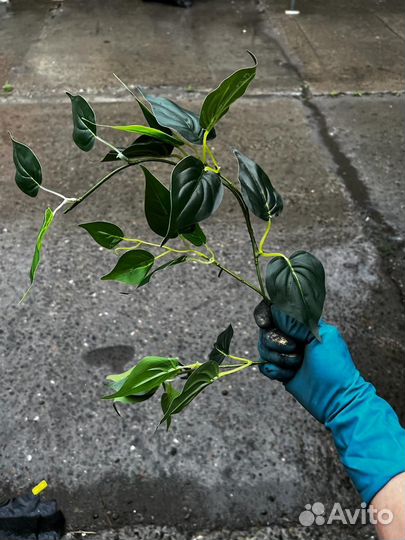 Зелень искуственная для декора