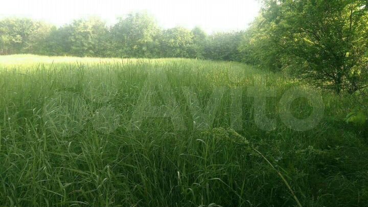 Участок 7,2 сот. (СНТ, ДНП)