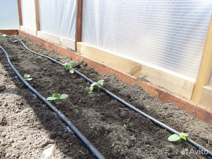 Капельный полив