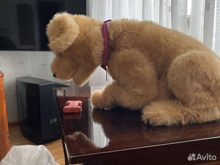 Интерактивная собака