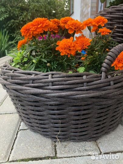 Таз из ротанга