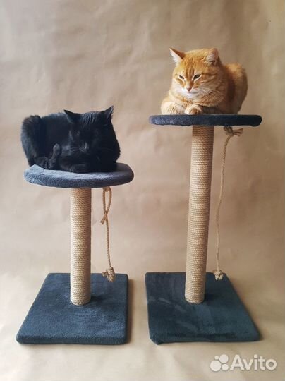 Когтеточка