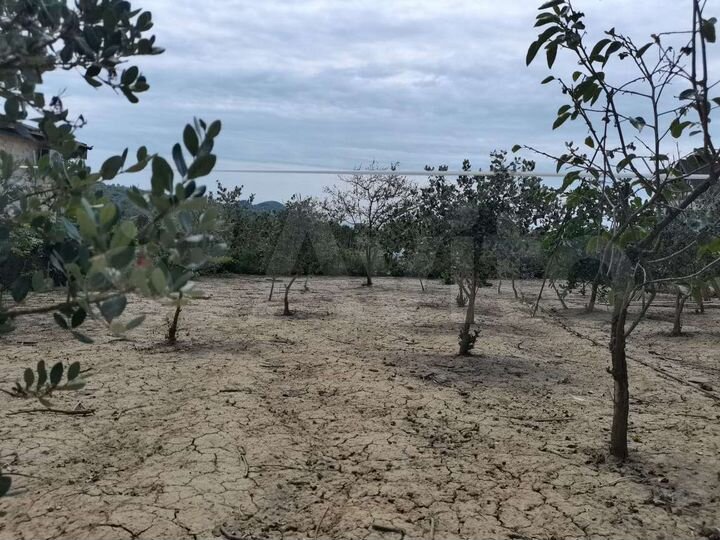 Участок 8 сот. (ИЖС)