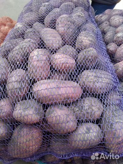 Картофель с доставкой на дом