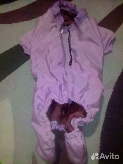 Комбинезон для собачки