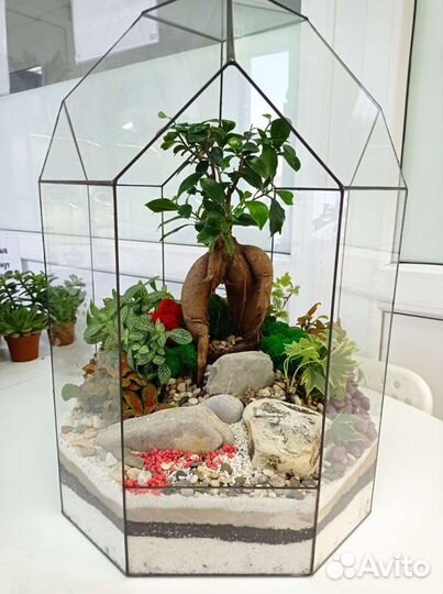 Флорариум Подарок