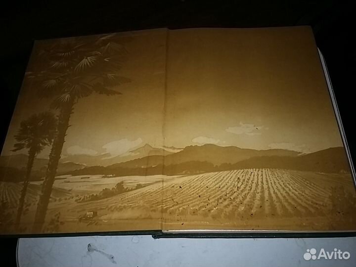 Каталог чай 1956 года