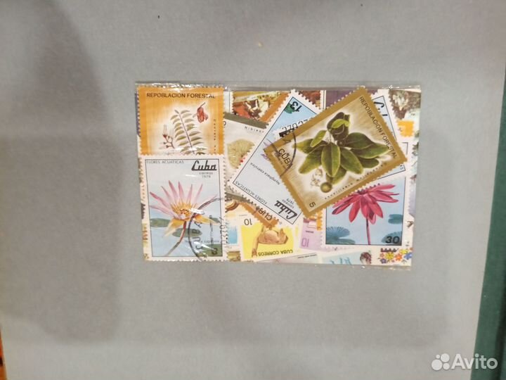 Почтовые марки Флора