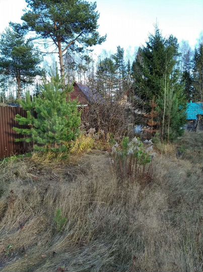 Участок 5 сот. (СНТ, ДНП)