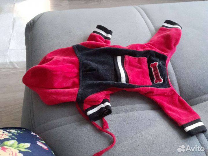 Одежда для маленьких собак