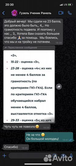 Репетитор по русскому языку (егэ,огэ,впр)