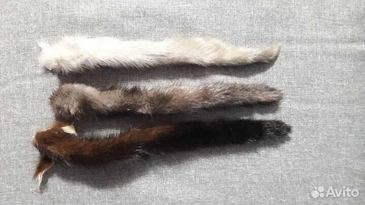 Хвост норковый