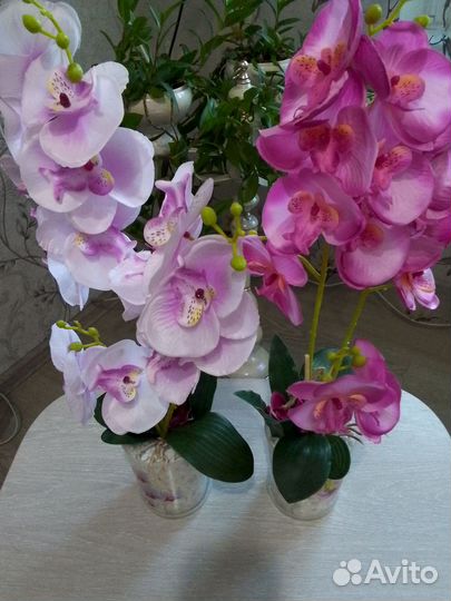 Орхидеи (искусственная)
