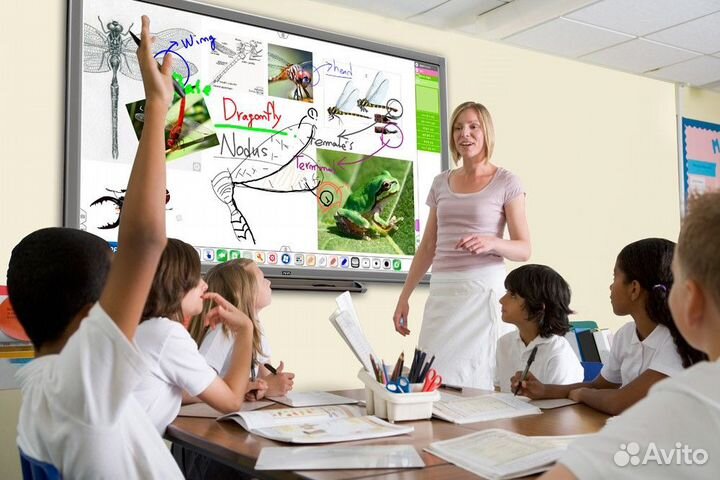 Интераткивная сенсорная панель для сада