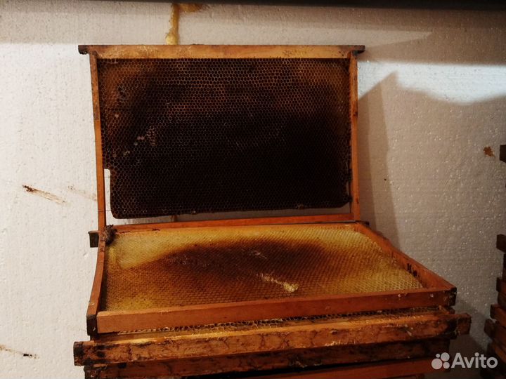Рамка сушь для пчел