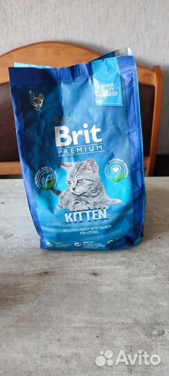 Сухой корм для котят