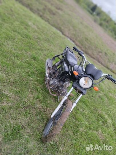 Альфа ягуар 110сс