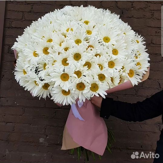 Ромашки цветы букеты