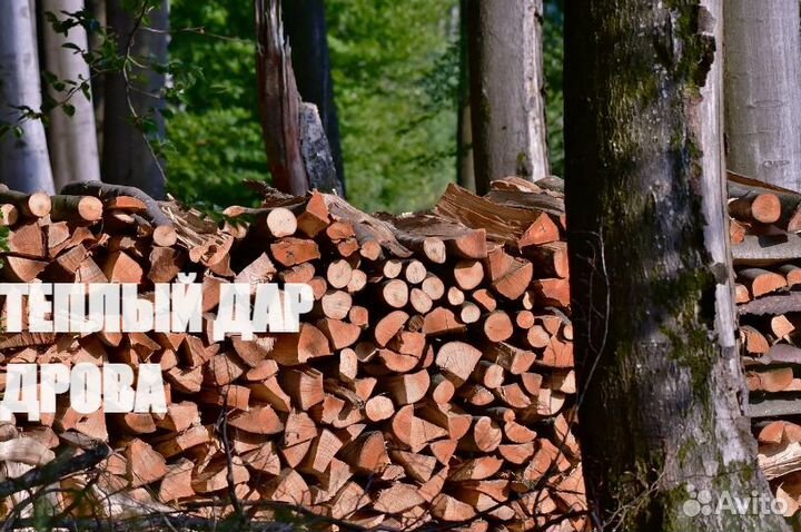 Дрова сухие