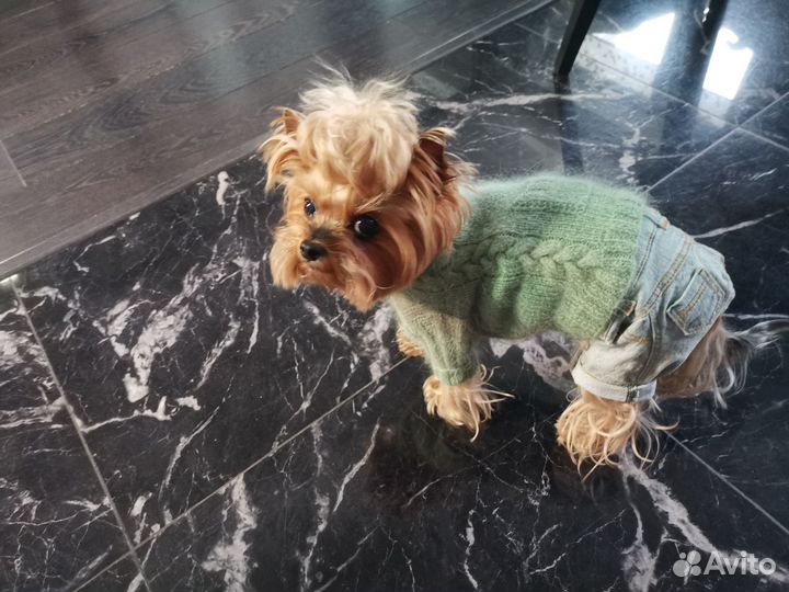 Свитер из шерсти норки