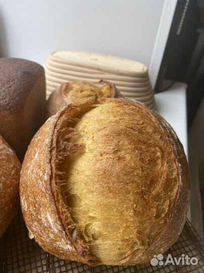 Живая Закваска для хлеба