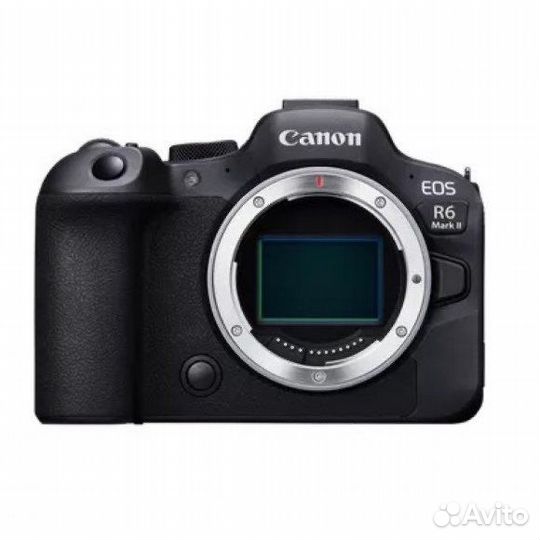 Canon eos R6 mark II body