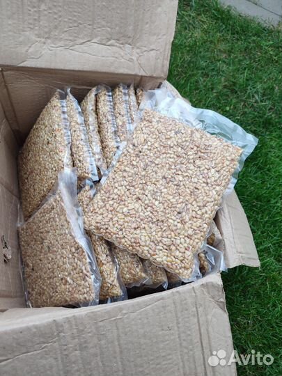 Орех урожай 2023