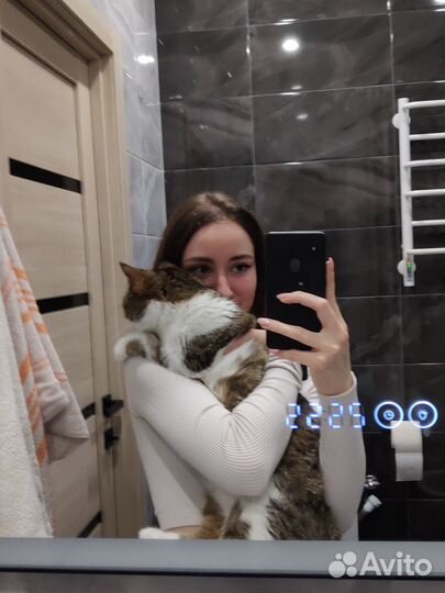 Передержка собак и кошек