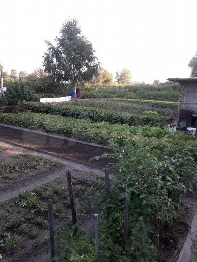 Участок 12 сот. (ИЖС)