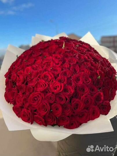 101 роза букет роз с доставкой, Москва Некрасовка