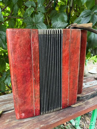 Баян Тула 202