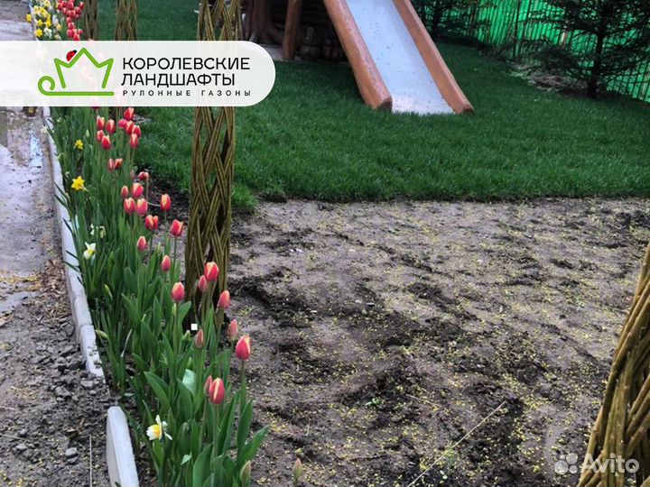 Рулонный газон