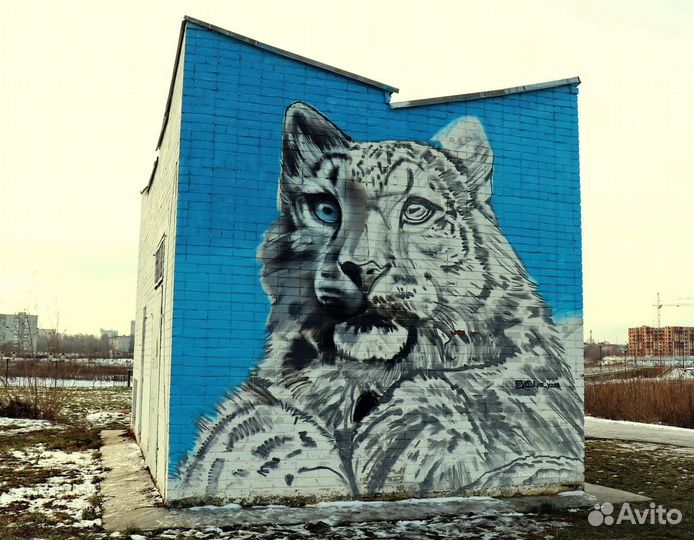 Художественная роспись стен. Граффити, Аэрография