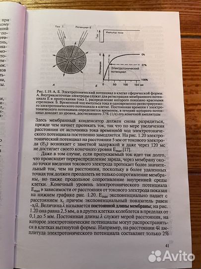 Физиология центральной нервной системы