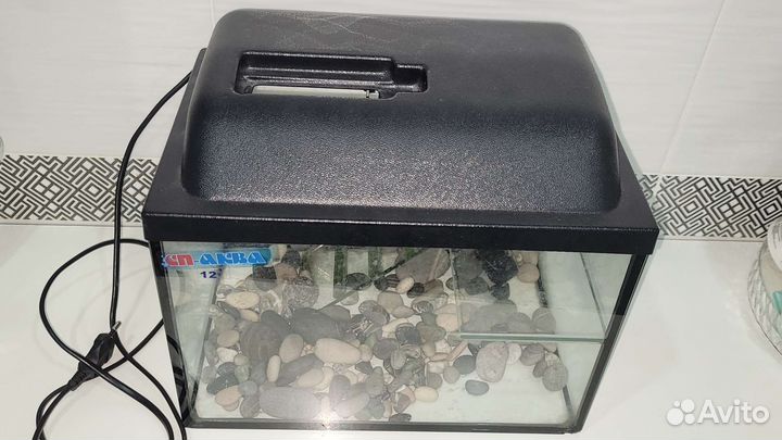 Аквариум террариум