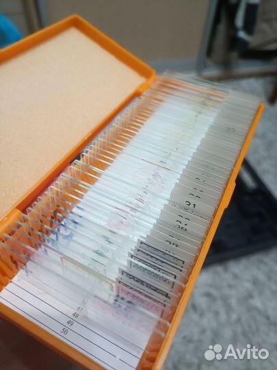 Микроскоп левенгук