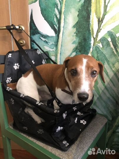 Аксессуары для авто