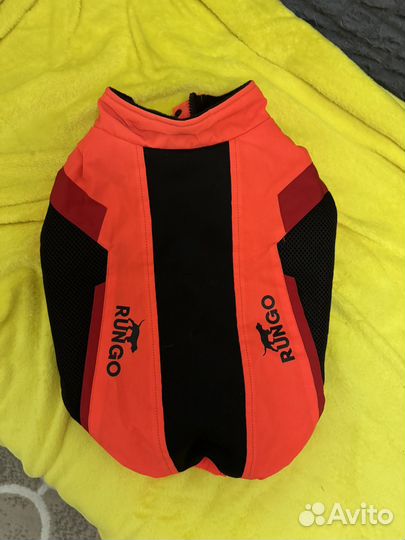 Одежда для собак мелких пород пакетом