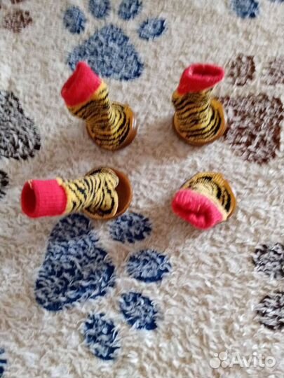 Бесплатно. Носочки для собак